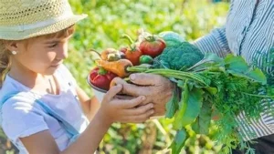 Rau sạch giao tận nhà