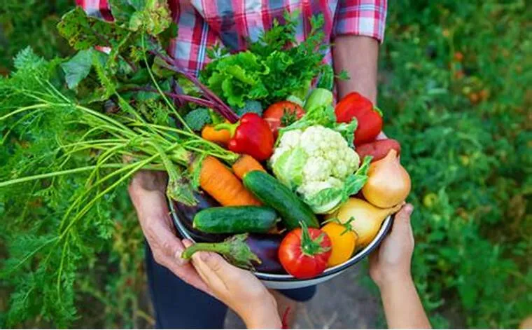 Kinh nghiệm kiểm tra chất lượng "Rau sạch giao tận nhà" ngay khi nhận hàng