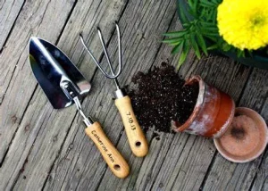 Dụng cụ trồng rau sạch