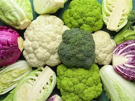 "Rau sạch chống ung thư": Cơ chế Hoạt động của những "Vũ khí" Tự nhiên