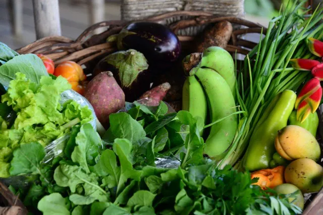 "Rau sạch và rau hữu cơ khác nhau thế nào" - Hai cấp độ An toàn, hai Triết lý Canh tác!