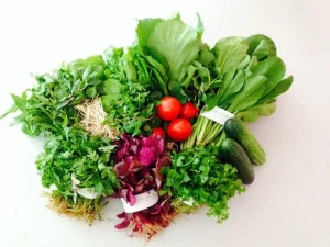 Rau sạch nhập khẩu