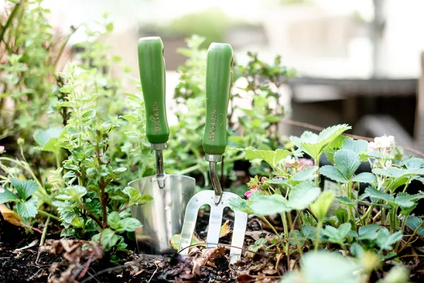 "Dụng cụ trồng rau sạch" - Những người bạn đồng hành trên con đường có rau an toàn tại nhà