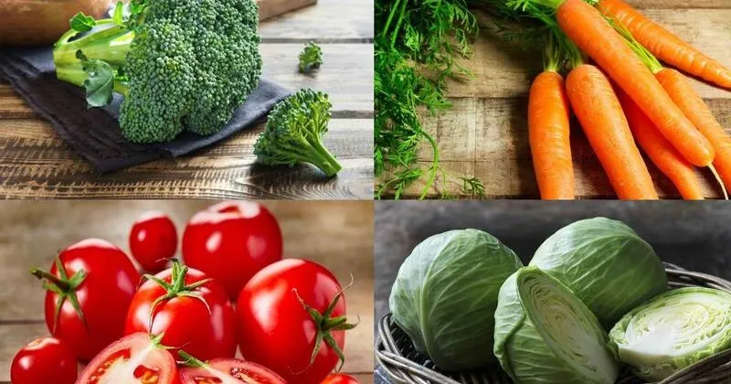 Lựa chọn "Rau sạch phù hợp cho người bệnh": Dễ tiêu hóa, giàu dinh dưỡng