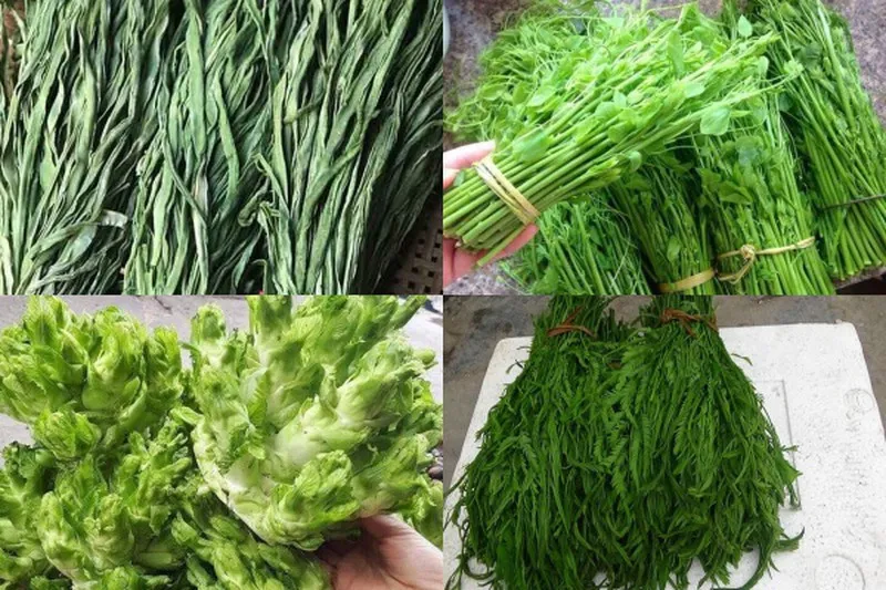 Các Dấu hiệu Bên ngoài (CẦN CẨN TRỌNG khi nhận biết!)