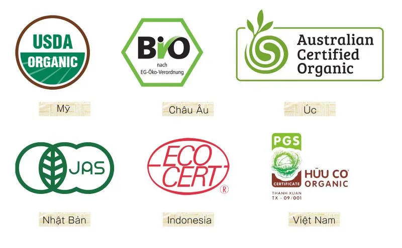 Tiêu chuẩn và Chứng nhận: Bằng chứng đáng tin cậy