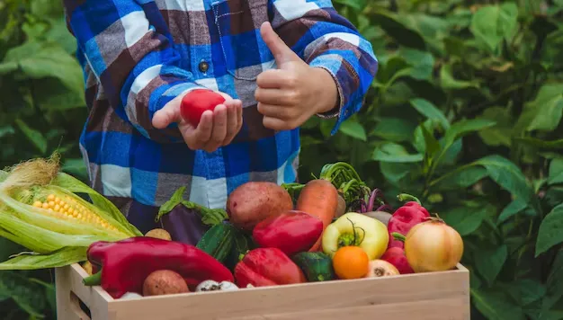 "Rau sạch giao tận nhà": Sự tiện lợi của thời đại số