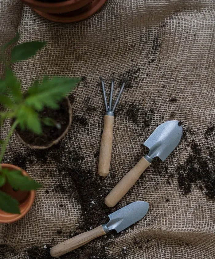 Những "Dụng cụ trồng rau sạch" thiết yếu cho người mới bắt đầu