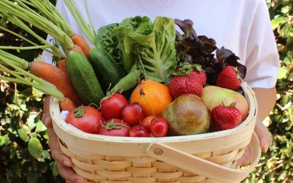 "Phân biệt rau sạch và rau bẩn" - Nhiệm vụ bất khả thi bằng mắt thường, cần Dựa vào Nguồn gốc và Chứng nhận!