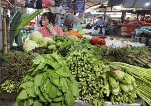 Cách chọn rau sạch ngoài chợ
