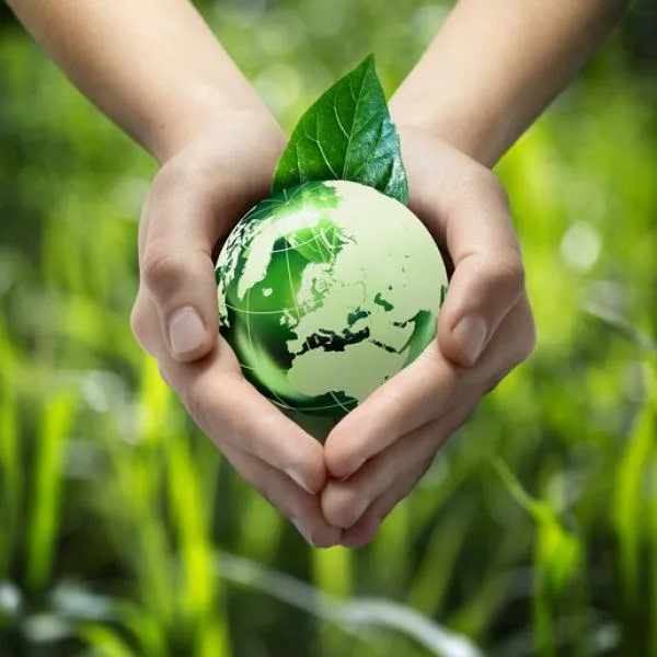 "Rau sạch và Bảo vệ môi trường" - Lối sống Xanh có Ý nghĩa