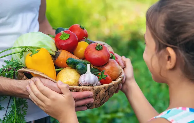 Mua "Rau sạch online" - Tiện lợi đi cùng sự Cảnh giác và Kiểm tra