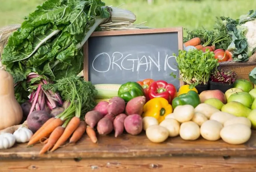 "Rau sạch không dùng thuốc trừ sâu" - Ưu tiên Lựa chọn Hữu cơ và Minh bạch!